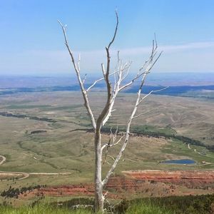 Meet your Posher, Destiny